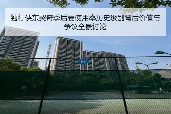 独行侠东契奇季后赛使用率历史级别背后价值与争议全景讨论