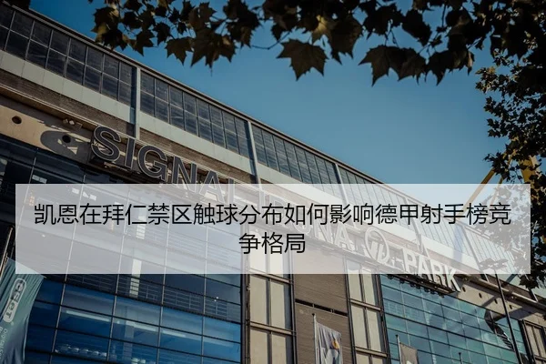 凯恩在拜仁禁区触球分布如何影响德甲射手榜竞争格局